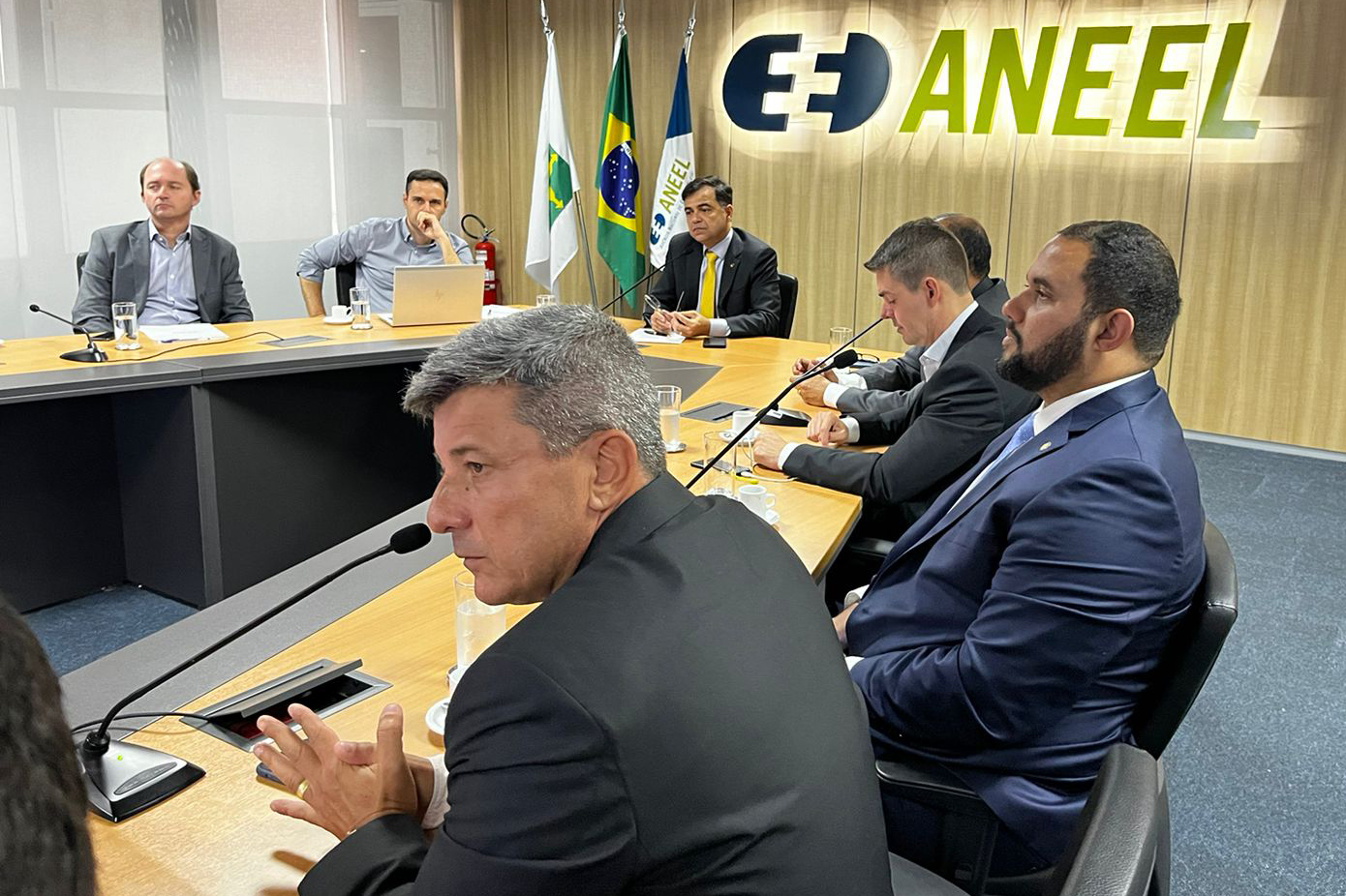 Cesinha e Tico Jardim participaram de reunião na Aneel