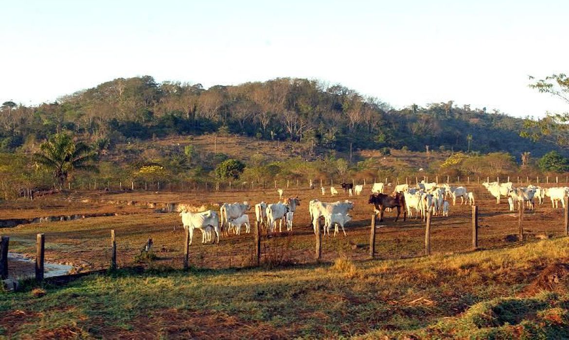 Entidades do agronegócio dizem que restrições à venda são prejudiciais