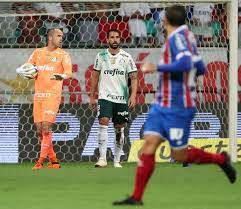 O Palmeiras volta a campo no domingo (25) para enfrentar justamente o líder Botafogo