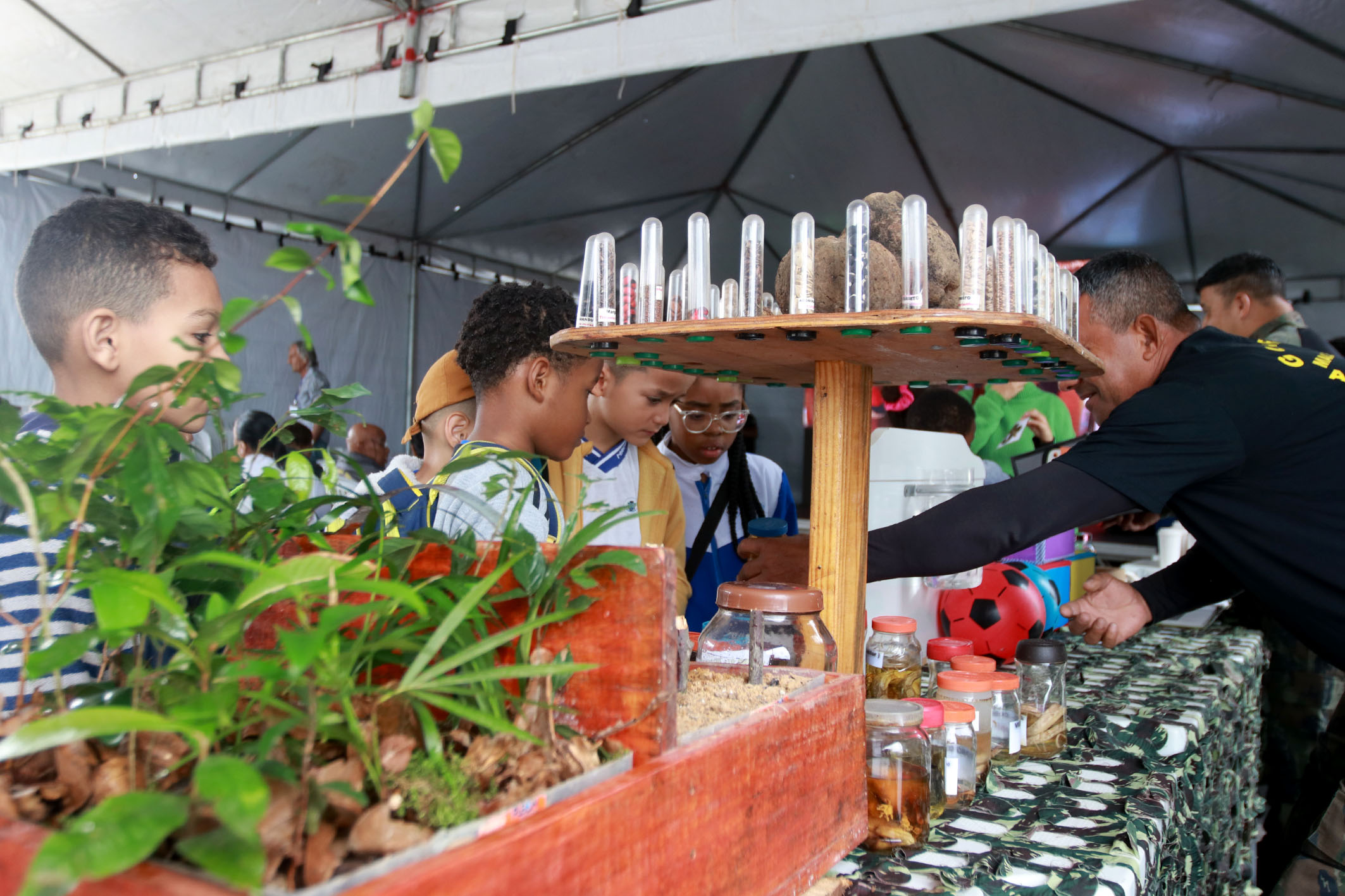 A abertura do Junho Verde aconteceu no Dia Mundial do Meio Ambiente