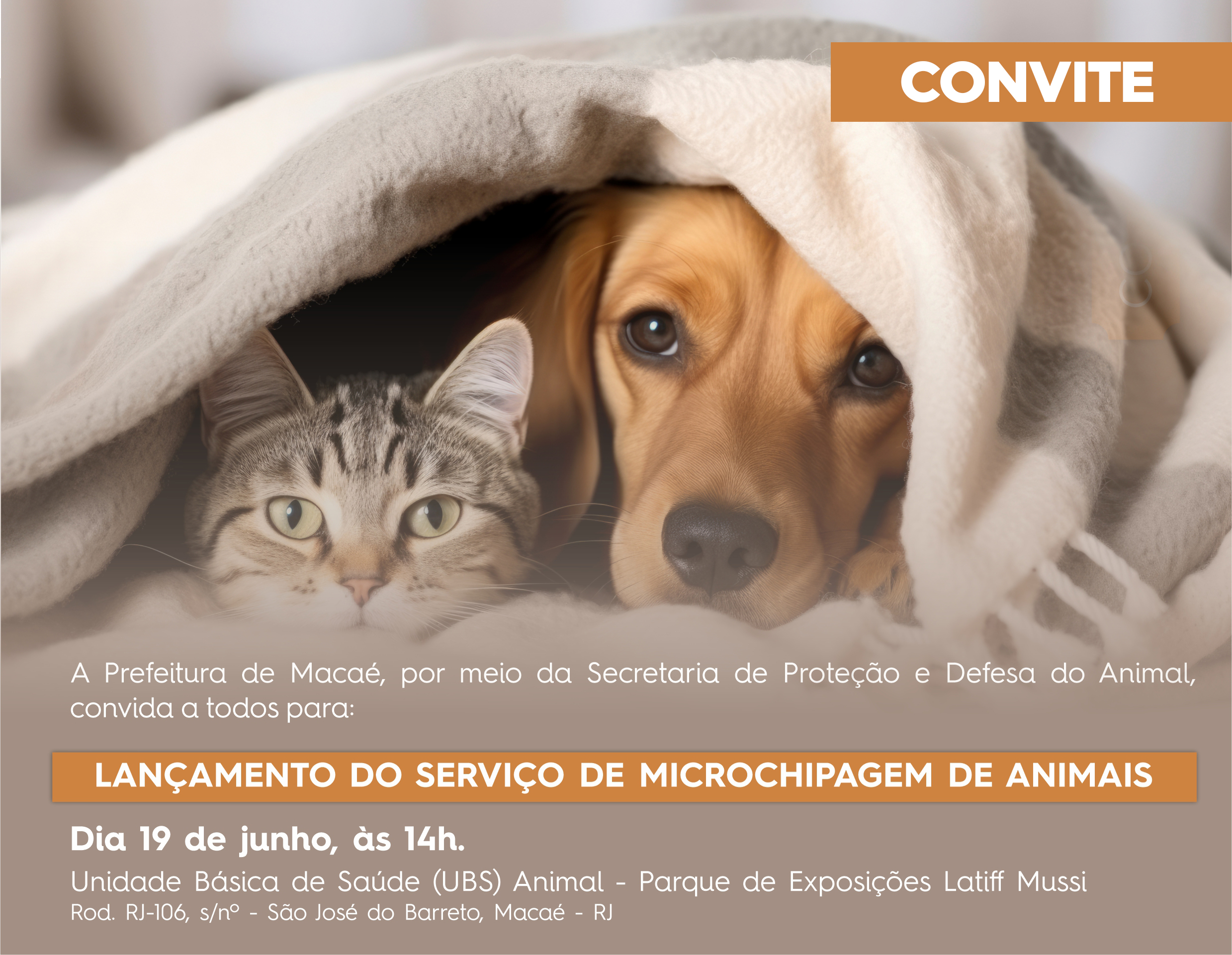 Prefeitura abre cadastro para serviço de implantação de microchipagem em  animais - RJNEWS