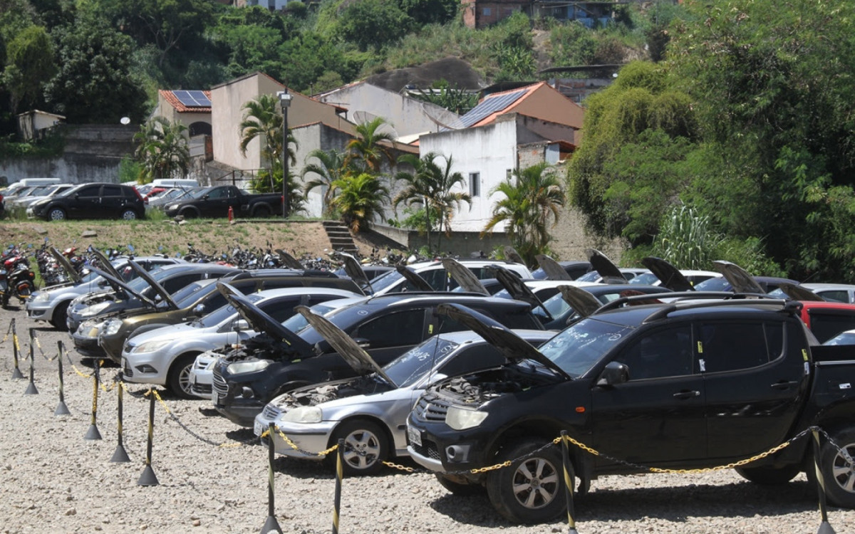 Visitação aos lotes pode ocorrer até o dia 3 de fevereiro