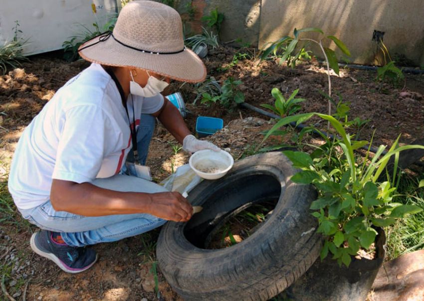 Vigilância em Saúde está trabalhando por toda a Cidade, mas população também precisa evitar criadouros do mosquito maruim.