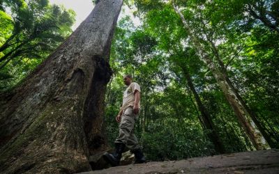 Conabio lança novas metas de conservação da biodiversidade para 2030